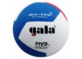 Мяч волейбольный Gala Pro-Line 12 FIVB BV5595S р.5